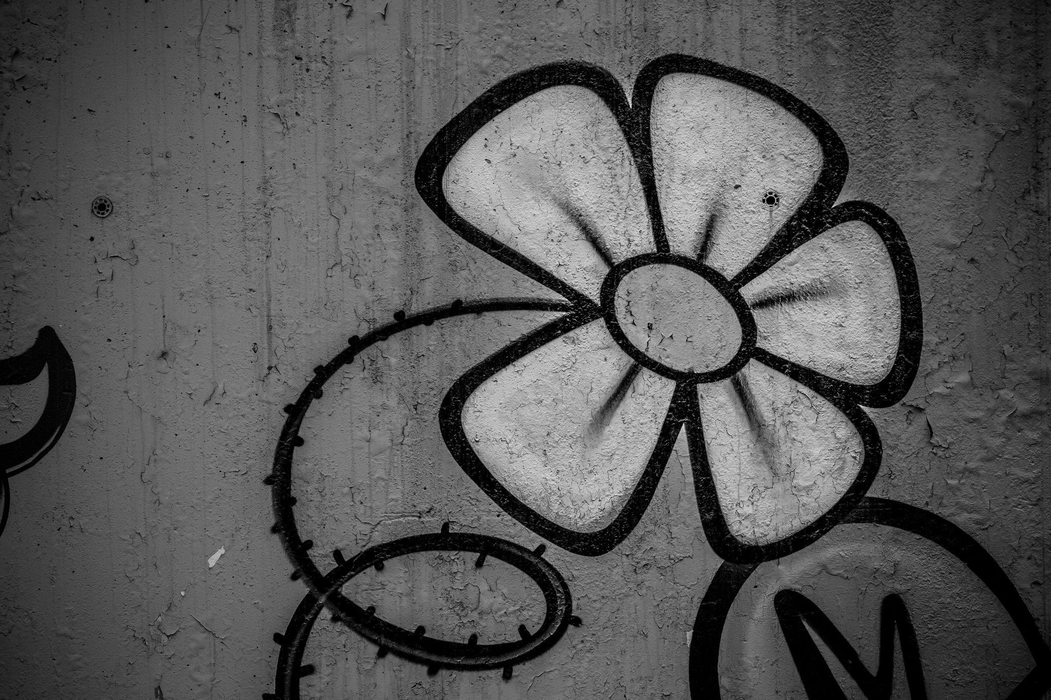 Segment of a Street Art Grafitti in Black and White Ink